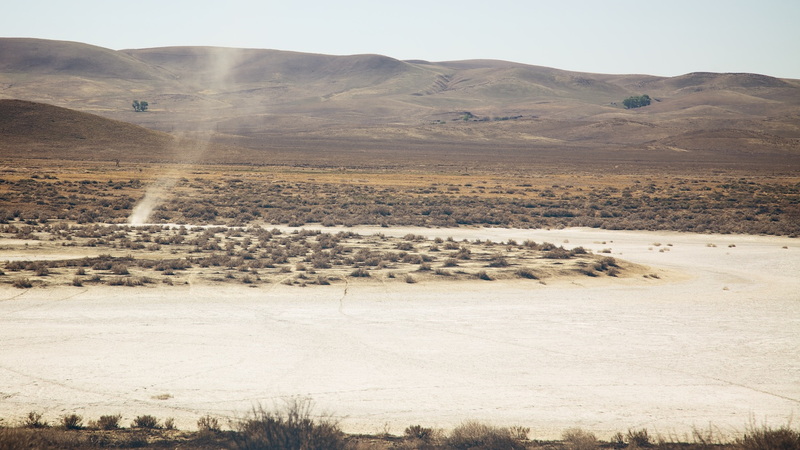 Illustration for article titled Inside California's Forgotten Grasslands